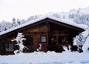 front.jpg