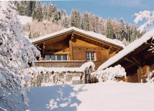 La Taupiniere in winter